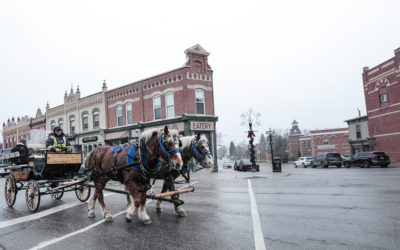 Experience a Horse-Drawn Carriage Ride Around Downtown Port Perry