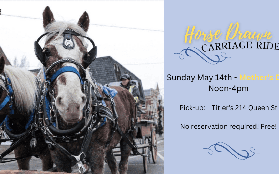 Mother’s Day Horse Drawn Carriage Rides